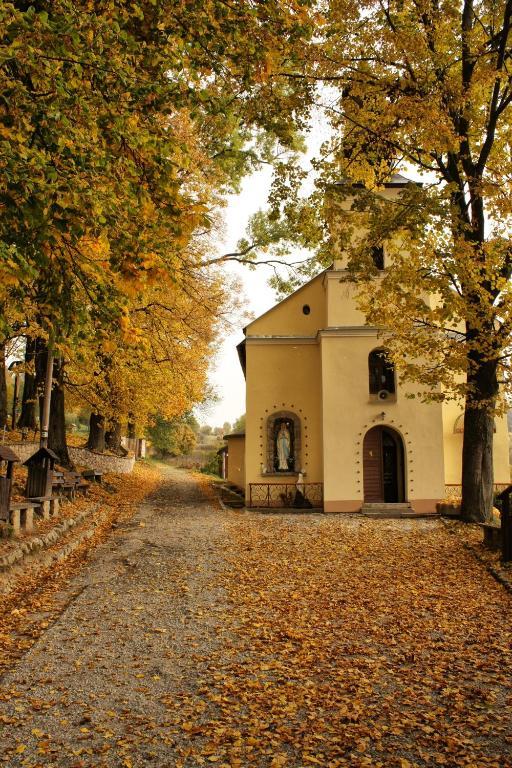 Chata Alpina Rózsahegy Kültér fotó
